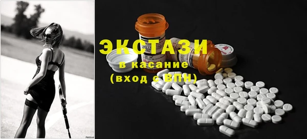 хмурый Аркадак