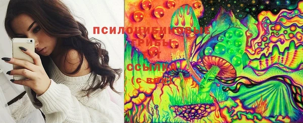 хмурый Аркадак