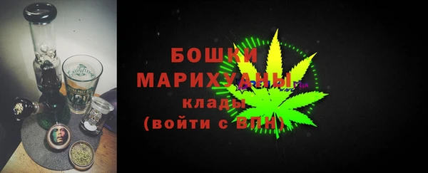 хмурый Аркадак