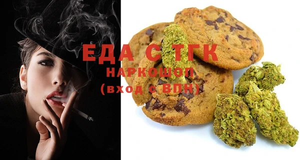 хмурый Аркадак