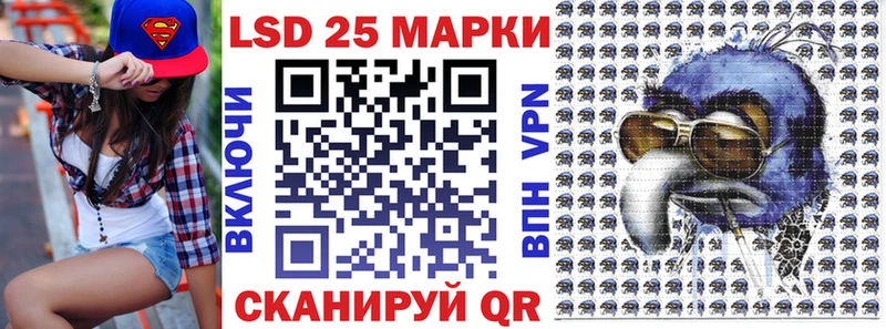 shop официальный сайт Талица Марки N-bome 1,8мг