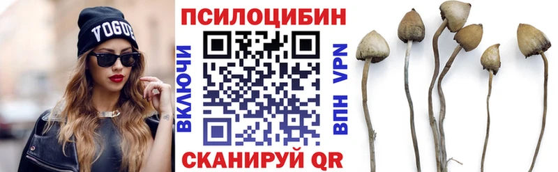 Галлюциногенные грибы Psilocybine cubensis Талица
